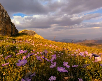 Подъём на гору Шалбуздаг