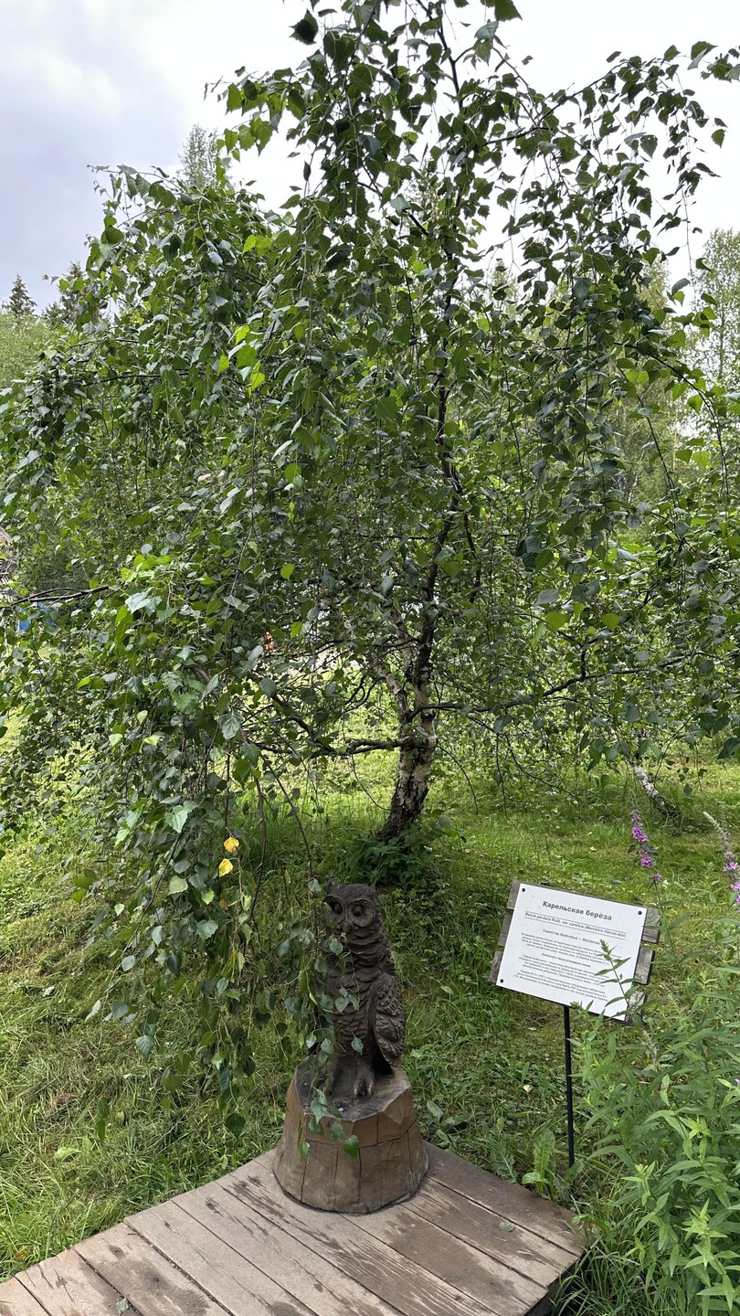 Карельское ожерелье - природная красота окрестностей Петрозаводска (Marina)