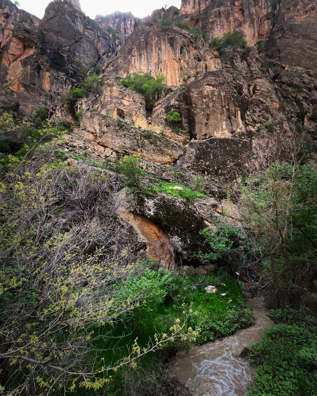 Арарат, Арени и Нораванк - дороги, пропитанные солнцем (Mikhail)