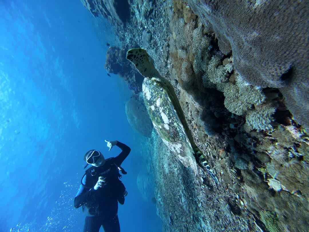 Дайвинг - мастхев в таких местах как Бали. Погружался много где, но без преувеличения скажу, что