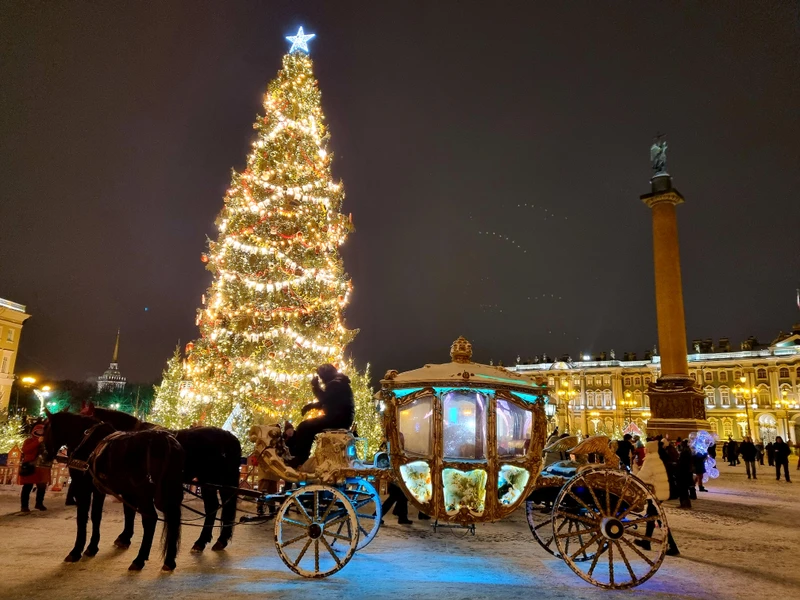 Знакомство с Петербургом: обзорная экскурсия + Эрмитаж (билеты включены)