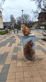 Фото 4: авторский тур «Калининград, балтийские курорты, малые города: индивидуальный тур по главным локациям»