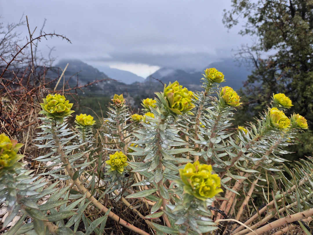 Очень понравилось путешествие с Алааддином, он никуда не торопил, мы наслаждались красотой гор, туманом (из туч)