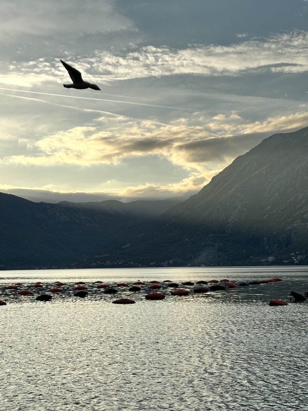 Мы в полном восторге от этого дня! У нас была экскурсия с Оксаной с посещением устричной
