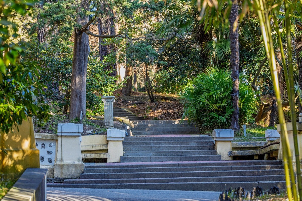 По Сочи в формате 4D (5/8)