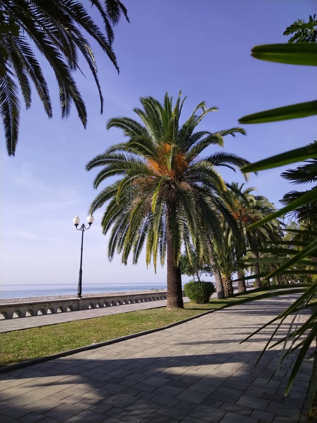 Большое спасибо Денису за все! Ощутили себя в гостях у друга! Денис очень опытный экскурсовод,найдет язык