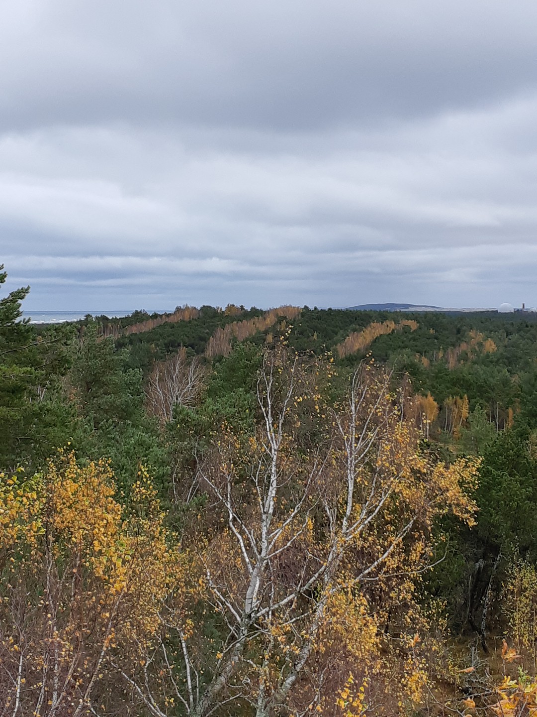 Красивая экскурсия. Природа волшебная. Восхищает труд людей создавших такое чудо. Хочеться гулять там бесконечно. Видели диких