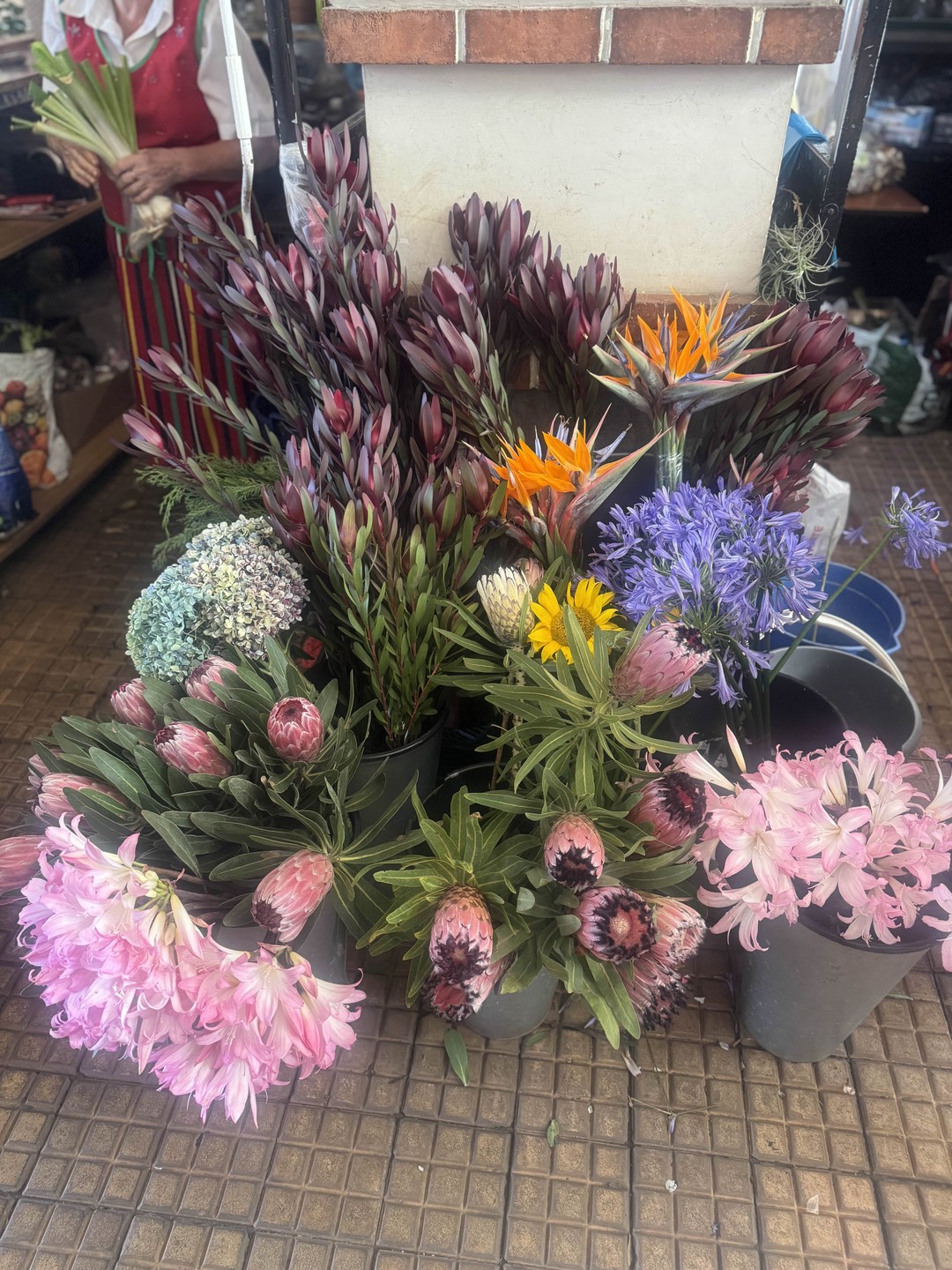 Знакомьтесь, Фуншал (Alex)