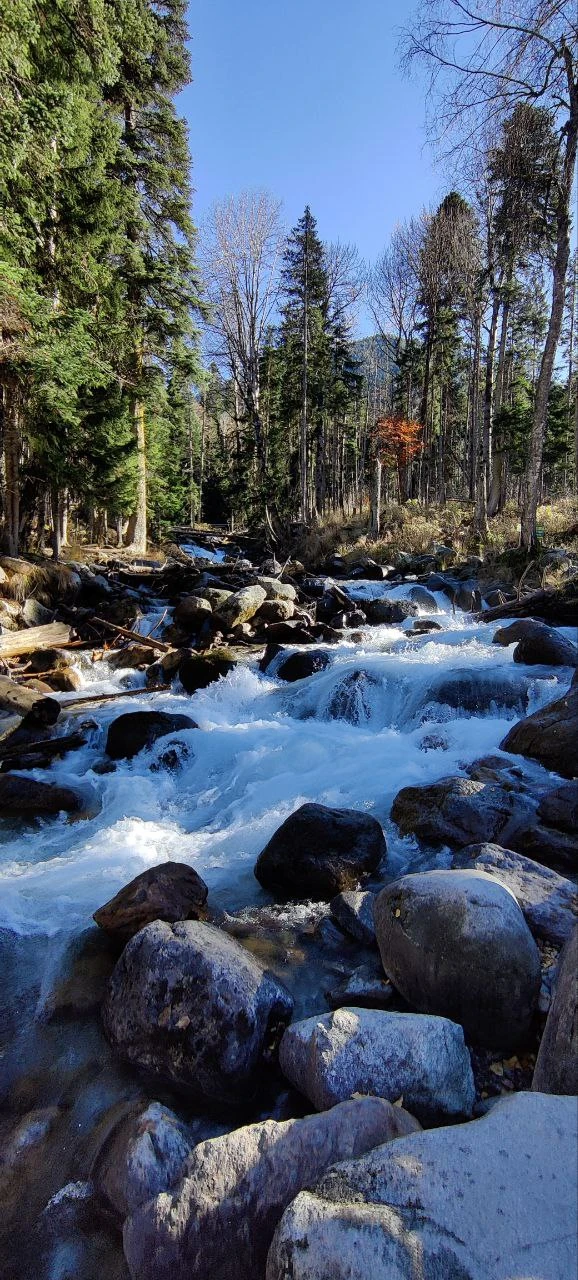 Замечательная экскурсия случилась у нас 4 ноября 2025г! Горы,реки,история! Приятная дружная компания (Казань, Екатеринбург,Красноярск)! отличная погода-горы