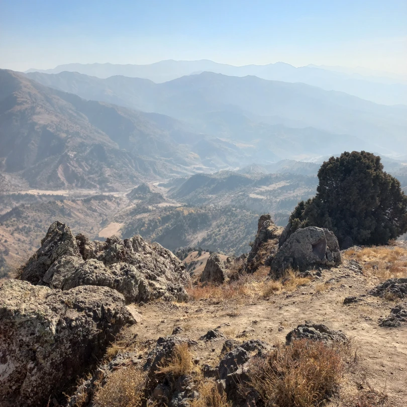 Все прошло отлично. На поездку мы решились спонтанно, но нам её организовали практически за час. Забрали