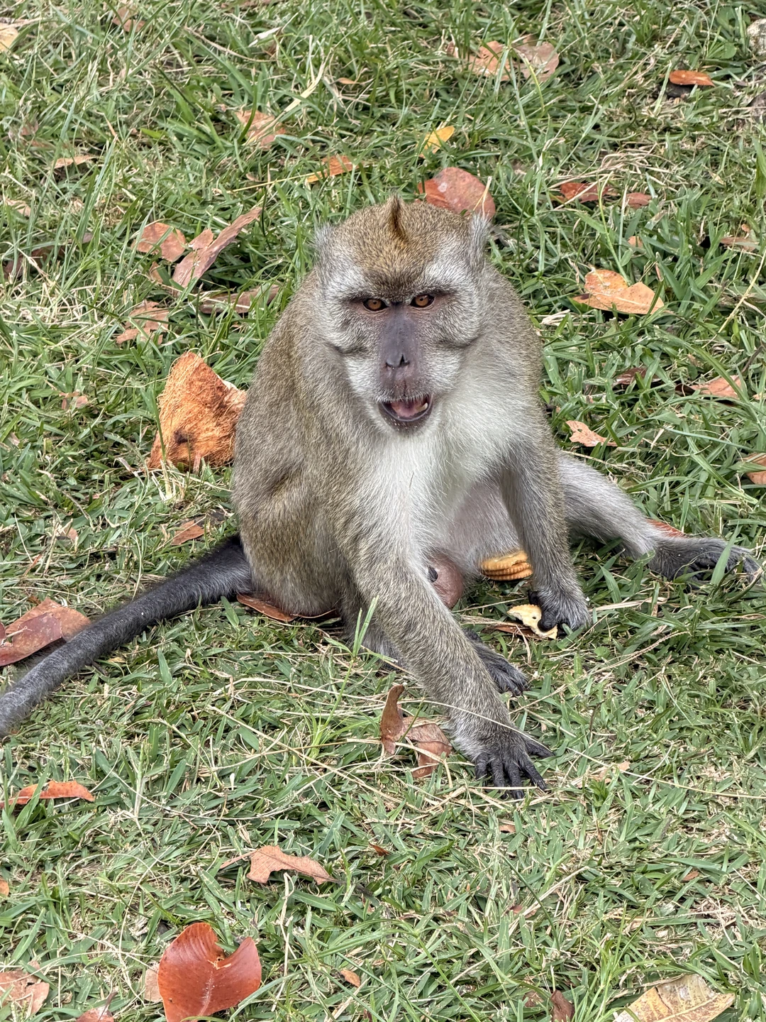 Отличная экскурсия. Дарья - великолепный гид, рассказывала все очень интересно, все локации на экскурсии красивые, никто