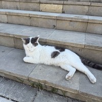 Фото отзыва 3: экскурсия "Свияжск, Тихий Плес и Иннополис: три якоря жизни"