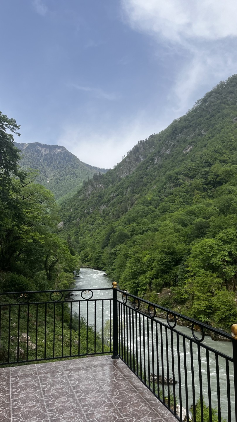 Рица, Новый Афон и мандариновый сад: групповая поездка из Гагры (Валерия)