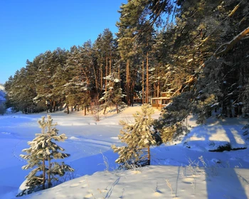 Программа на выбор: катание на лыжах или сноуборде или прогулка к Камышлинскому водопаду и Зубровый заказник
