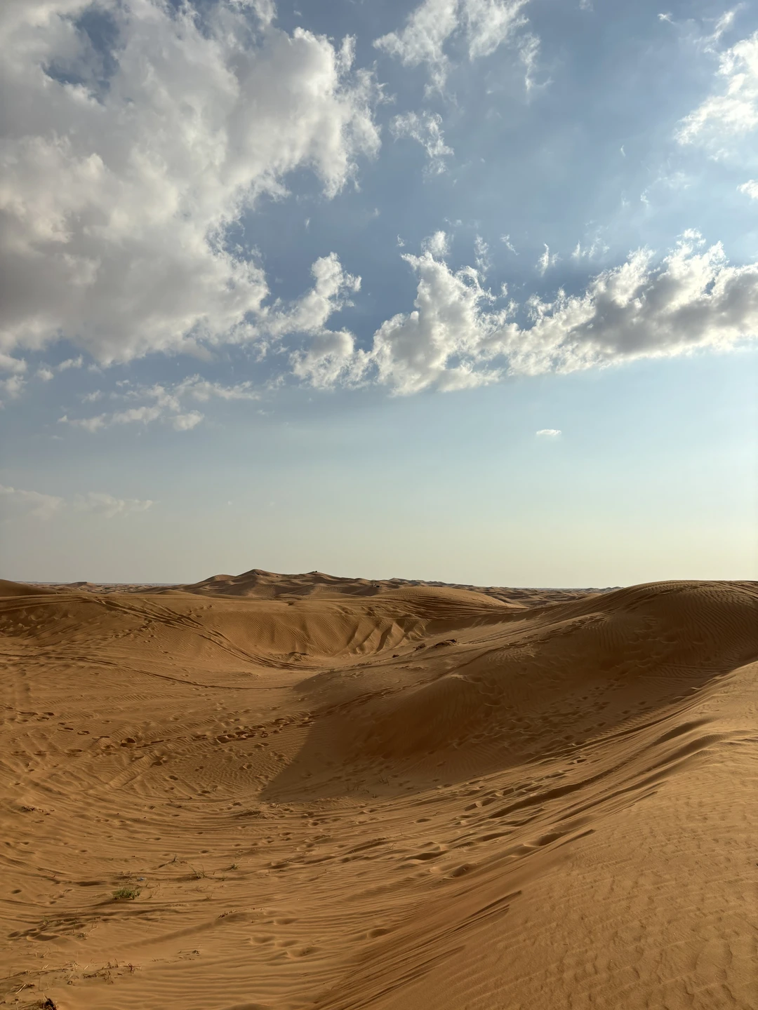 Супер! Специально искала экскурсию без заезда в деревню бедуинов, нашла только эту. Евгения всегда была на