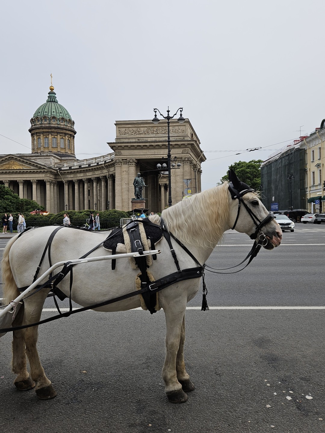 Отличный вариант для прогулки по городу в своём темпе! Несмотря на то, что маршрут проходит по