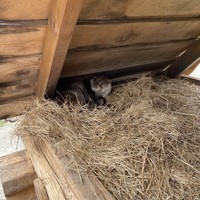 Фото отзыва 1: экскурсия "Экскурсия 3 в 1: сафари-парк + бухты Шамора и Стеклянная"
