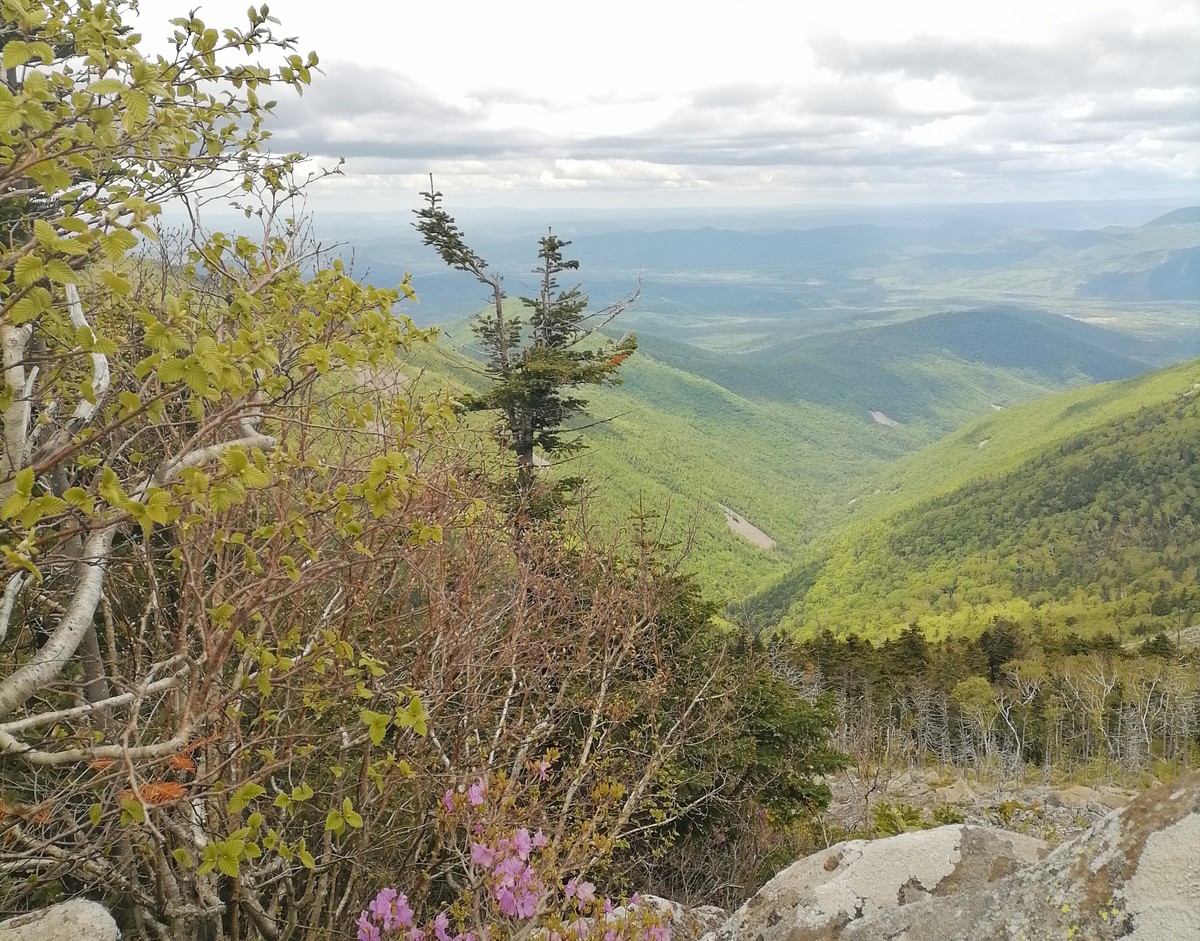 Главное изображение экскурсии - Восхождение на гору Фалаза — из Владивостока