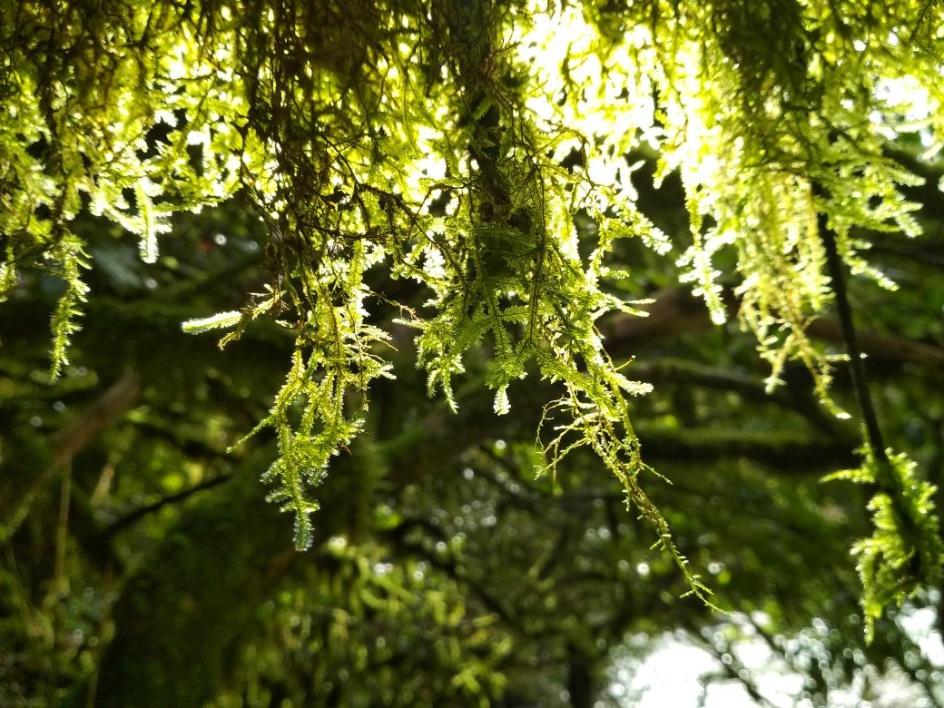 Белые скалы: путешествие в первобытный мир Сочи (5/15)