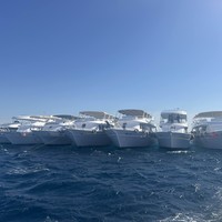 reviews img