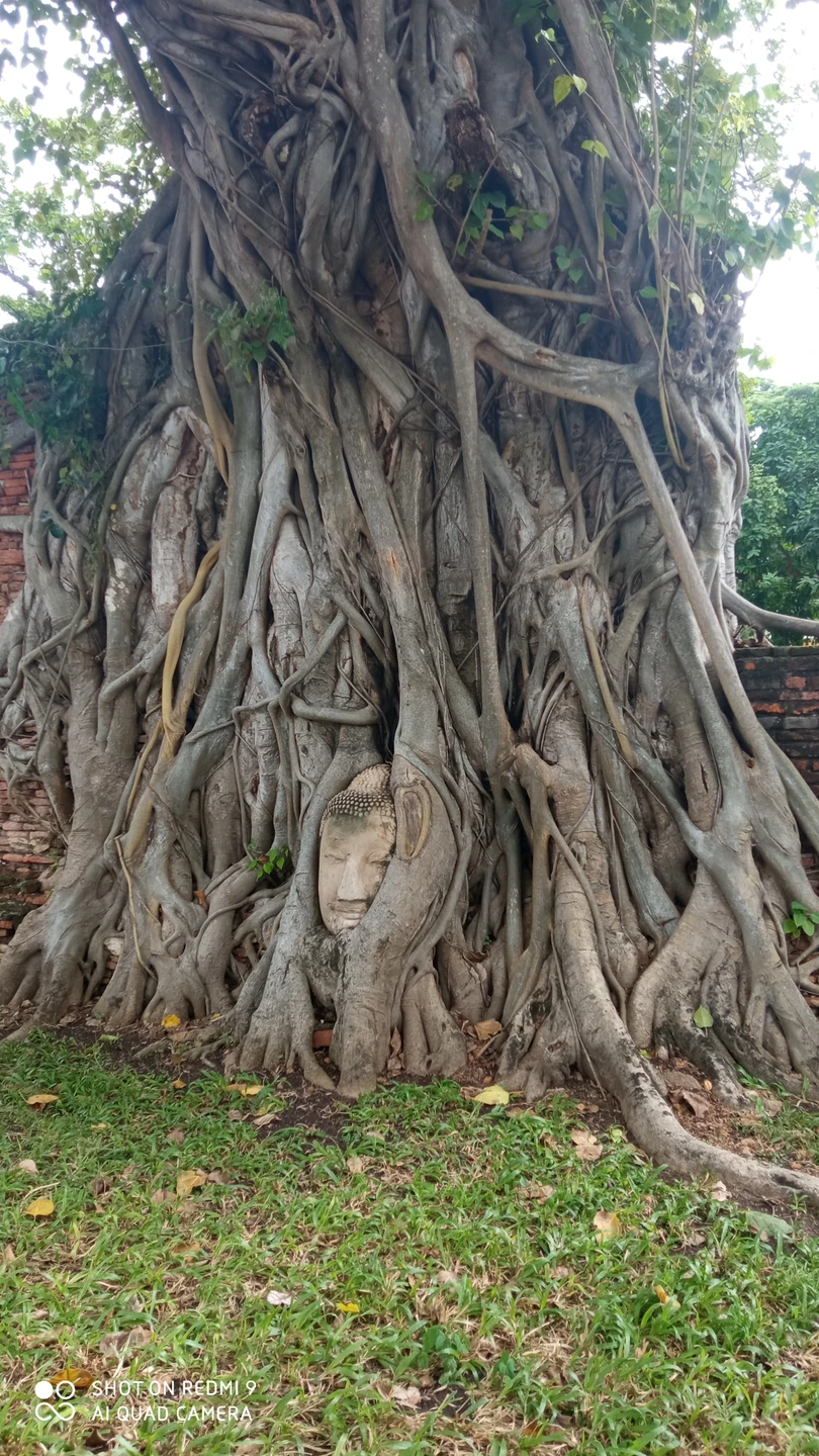 Прекрасная экскурсия в удивительное историческое место! Организация на высоте! Трансфер удобный, забрали из отеля во время.