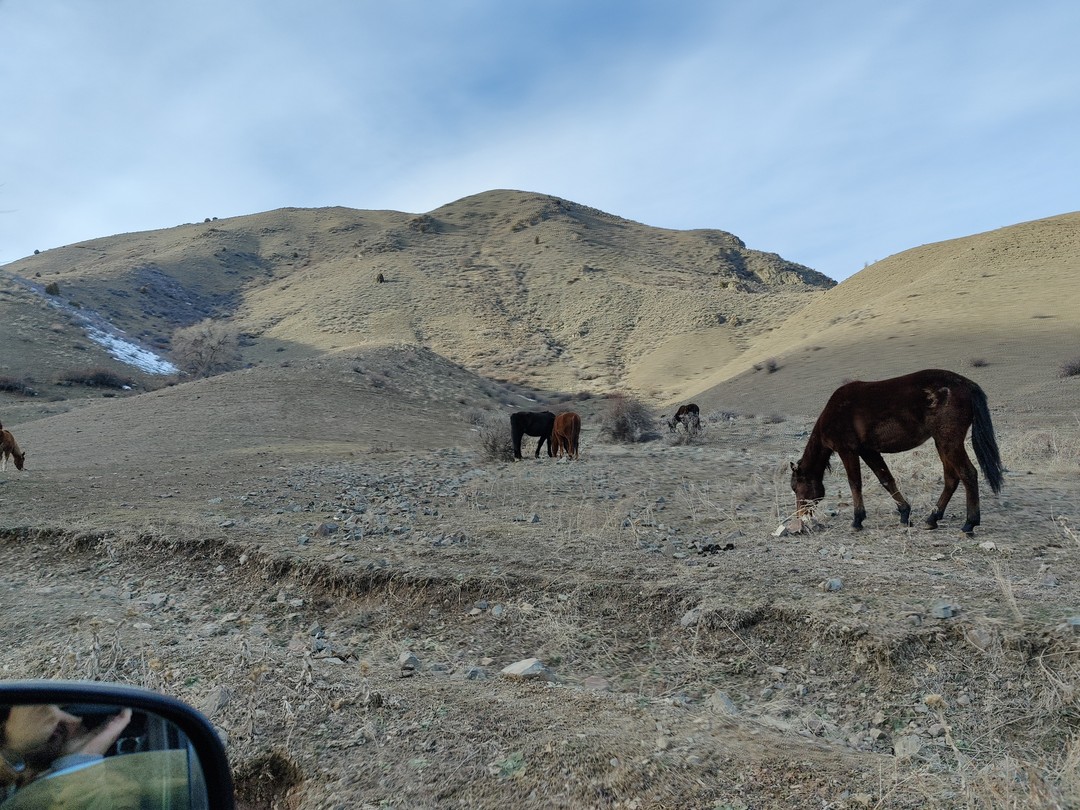 Были на экскурсии по заповеднику Чункурчак с Юрием. Экскурсия великолепно выстроена, с посещением всех чарующих мест