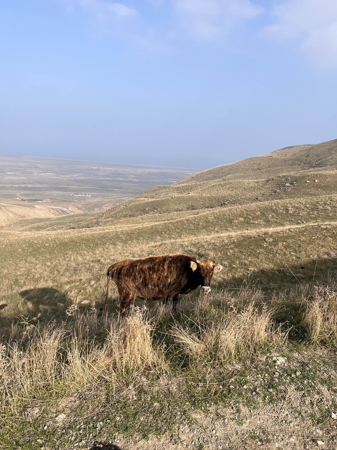 Хочу оставить не отзыв, а написать огромное спасибо Орхану за организацию тура и отдельное огромное спасибо!!