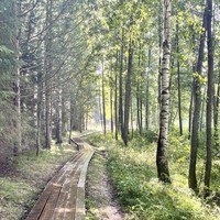 Фото отзыва 1: экскурсия "Озеро Светлояр и сырная  экоферма"