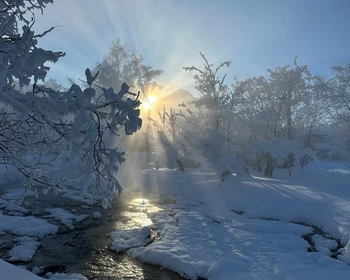 Знакомство с культурой коренных народов, танцевальное шоу, поездка в собачьей упряжке, Начикинский санаторий