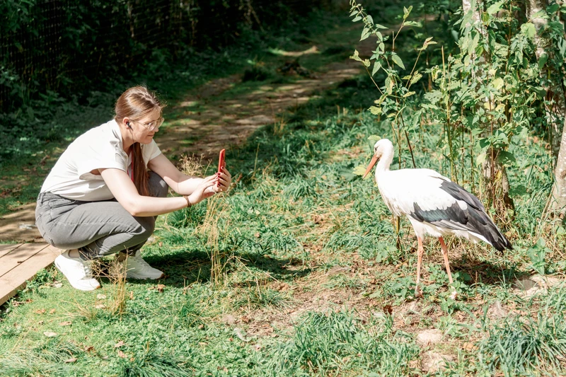 Обнимашки с живой природой: в подмосковный сафари-парк из Москвы