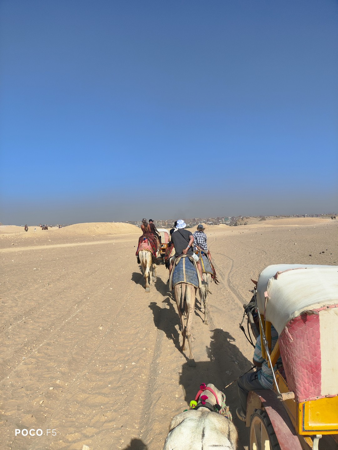 В сердце Древнего Египта: из Шарм-эль-Шейха в Каир (Илья)