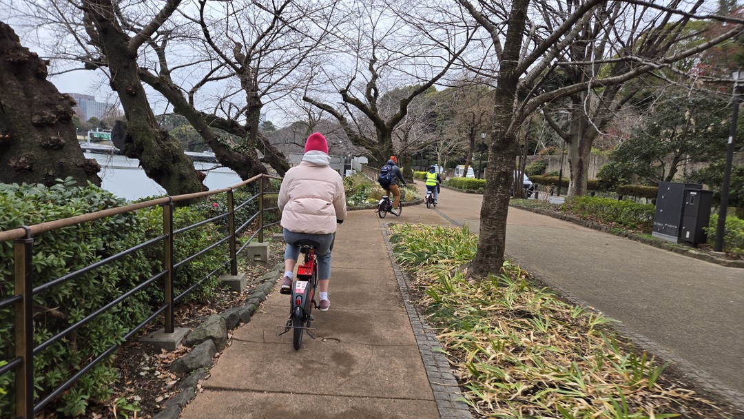 Суперская экскурсия и интересный маршрут, к велосипеду быстро адаптируешься. Отдельное спасибо за помощь в аренде великов