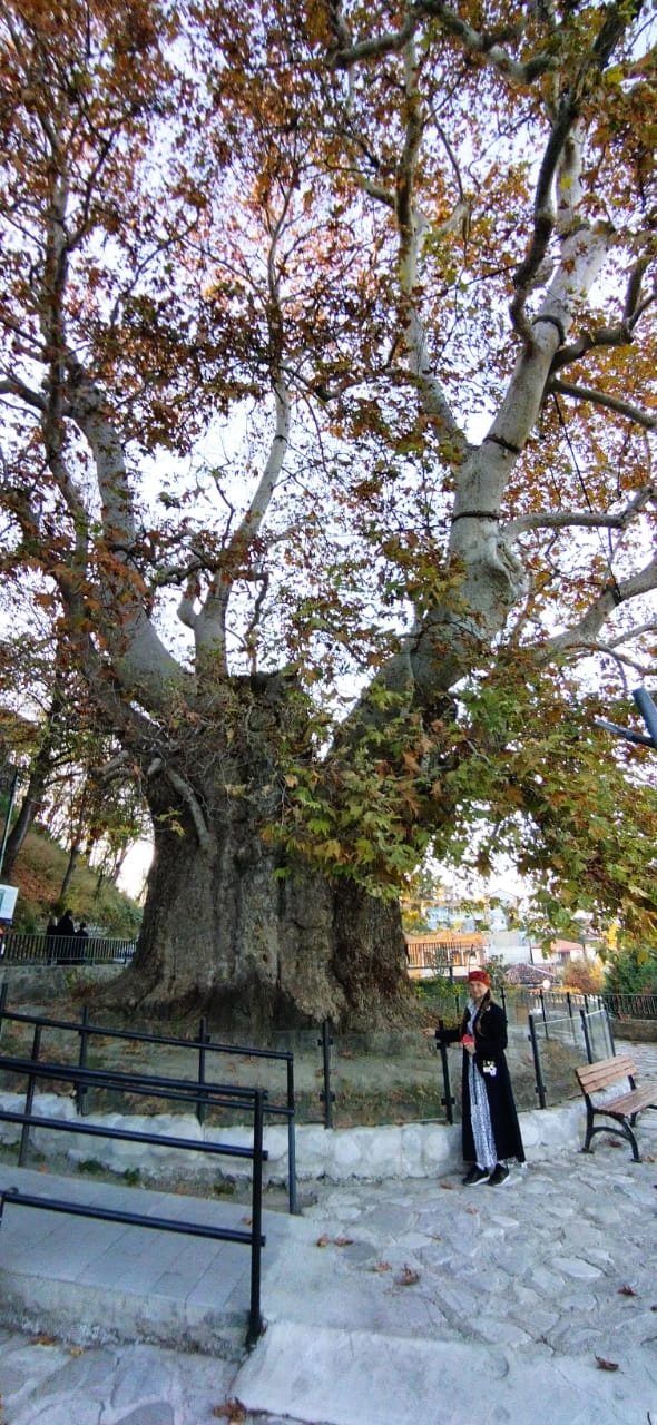 Нашим экскурсоводом был Владимир. Человек грамотный, профессиональный рассказчик, увлеченный историей Грузией. Экскурсия прошла на одном дыхании