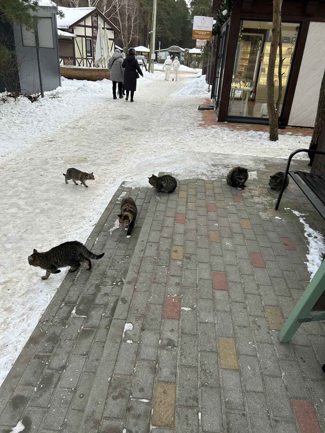 Спасибо экскурсоводу Ирине❤️ очень интересно, на все вопросы отвечала, хороший юмор 😊 Понравилось всё. Я сомневалась