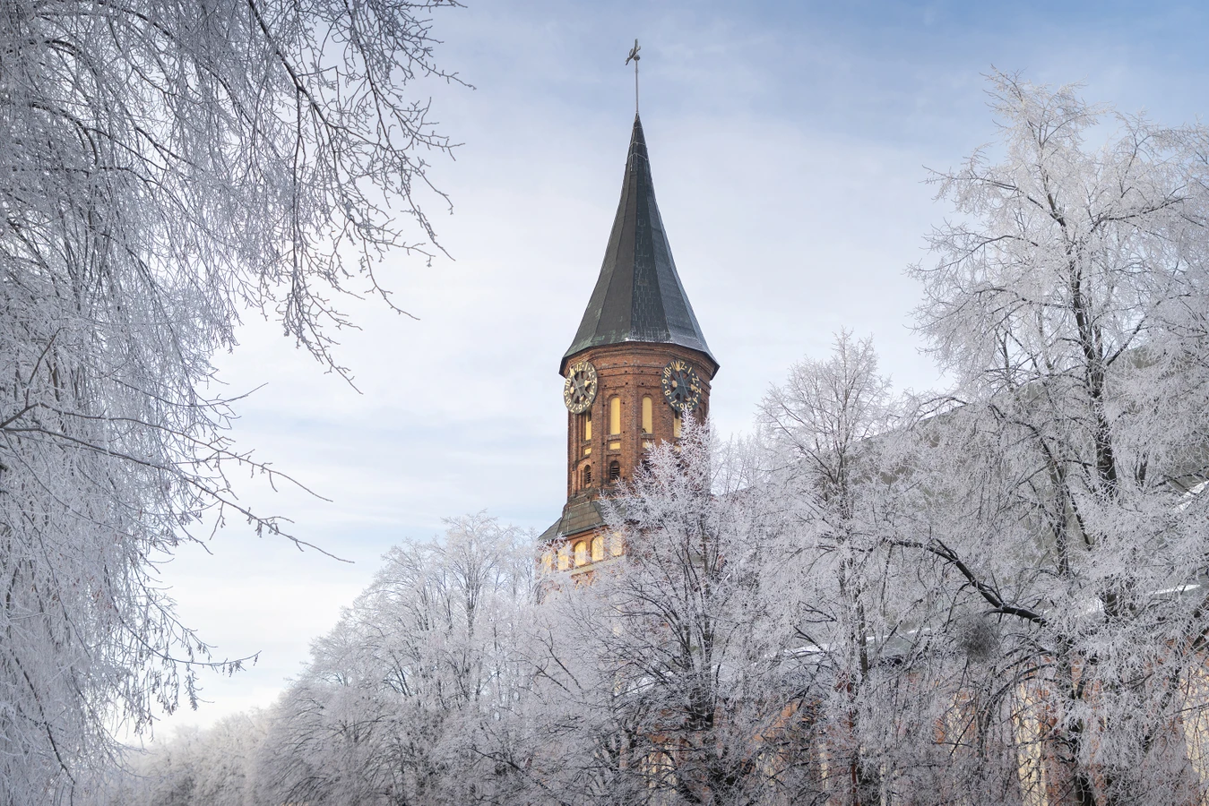 История Кёнигсберга–Калининграда (из Пионерского)