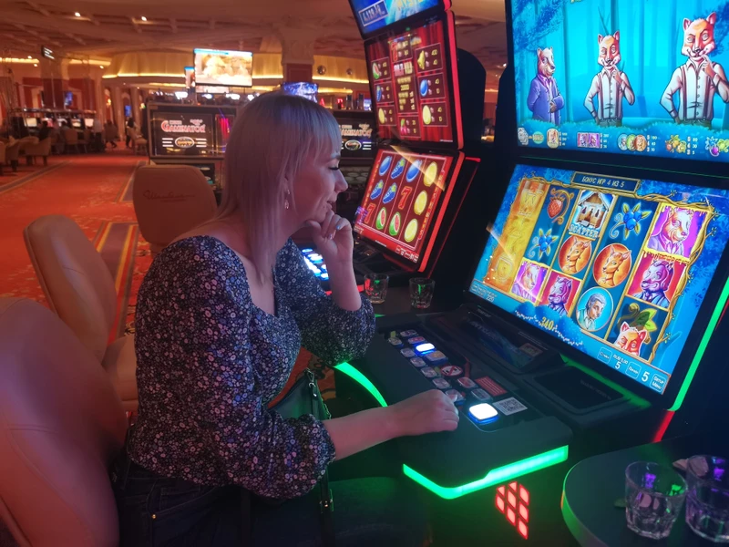 Виды Три бухты Уссурийского залива, игорный комплекс и Сафари-парк