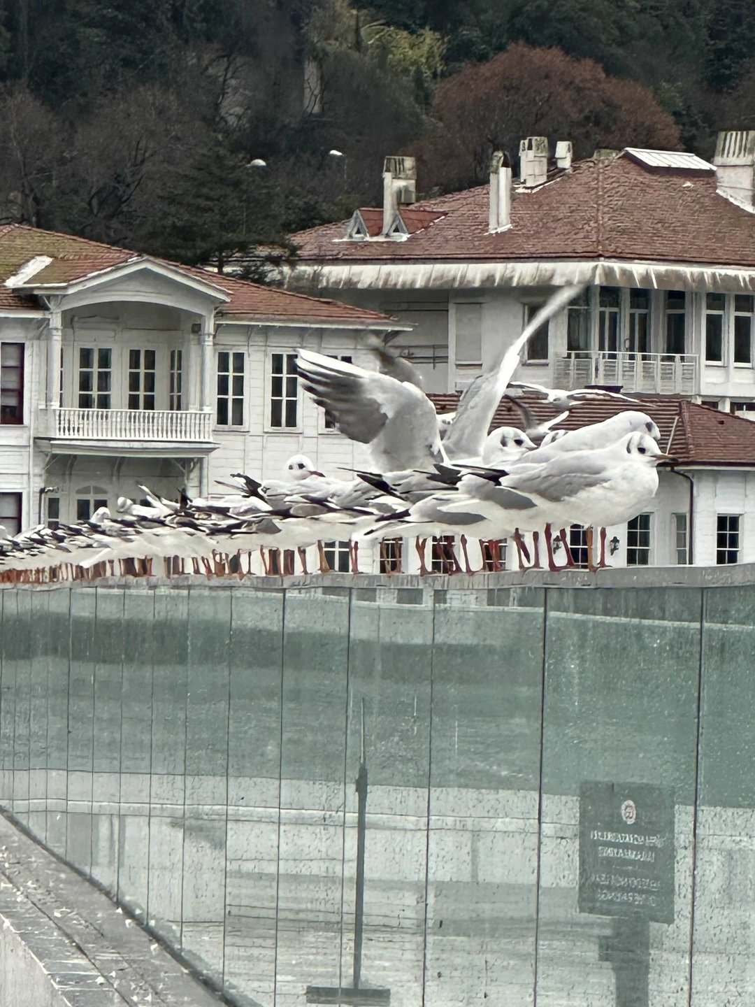 Отличный вариант для любой погоды! Сегодня был дождь, +4, но мы провели отличный день в компании