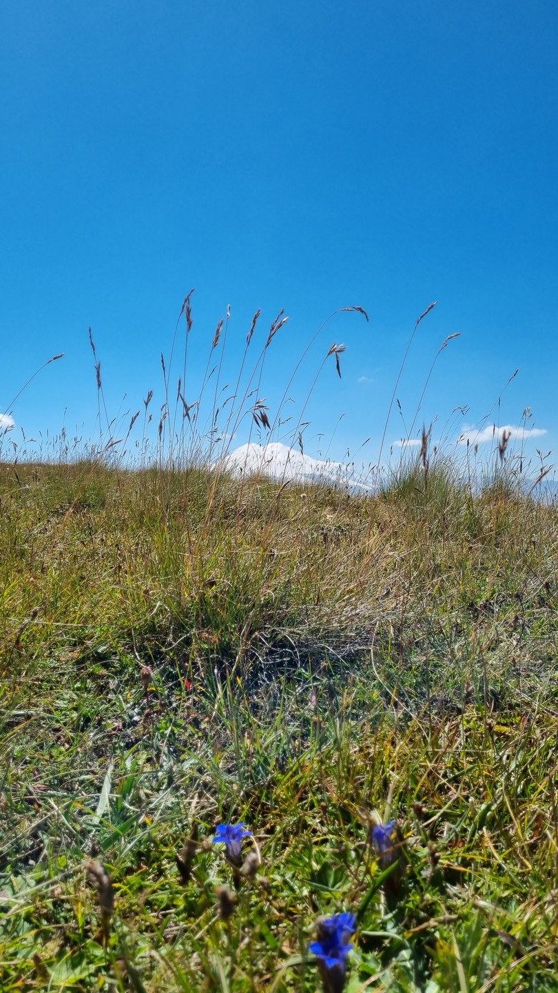Я хочу поделиться восторгом от нашего джип тура на плато Канжол с Азаматом. Пейзажи этого места