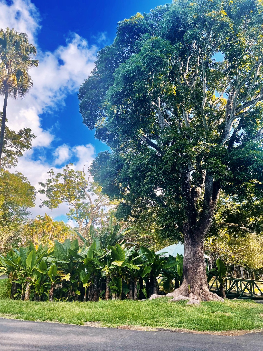 Провели прекрасный насыщенный день на севере острова с Анной