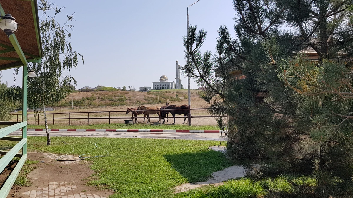 Фото Верхом по лесным тропам Грозного