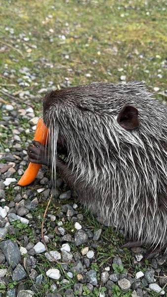 Экскурсия очень понравилась. Места очень красивые. Туристов сейчас не так много и можно с комфортом погулять