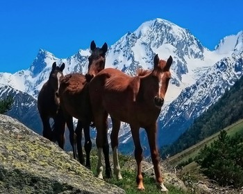 3 высокогорных Дуккинских озера