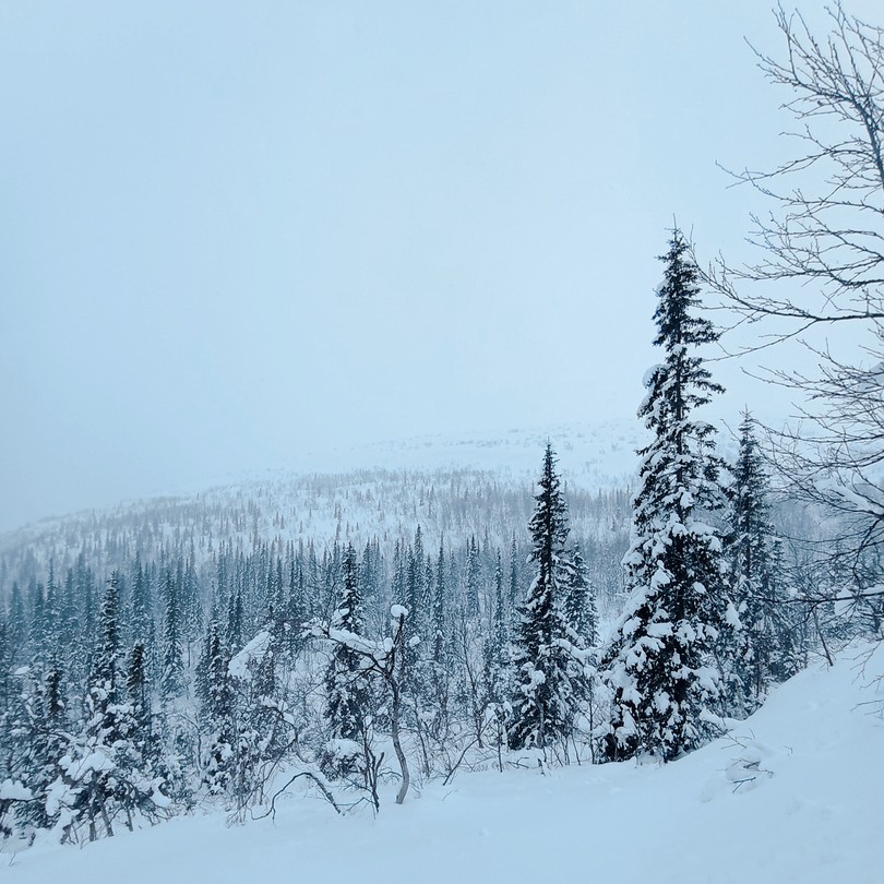 Зимние Хибины - на снегоступах (Татьяна)