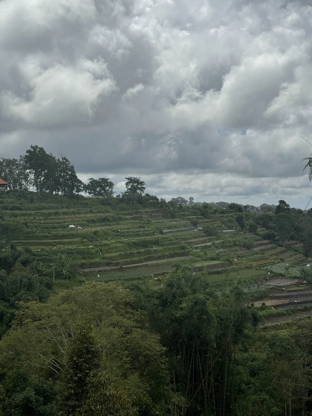 Лилис чудесная! Интересная и хорошо знает русский. Водитель топ! Спасибо за организацию крутой экскурсии!
