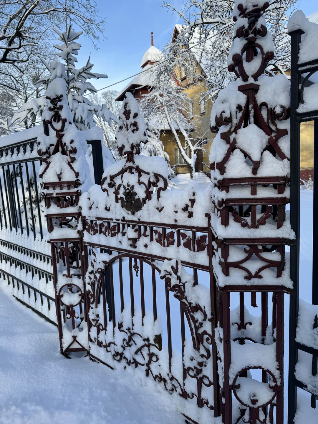 Красивая жизнь по-кёнигсбергски: район Амалиенау (Юлия)