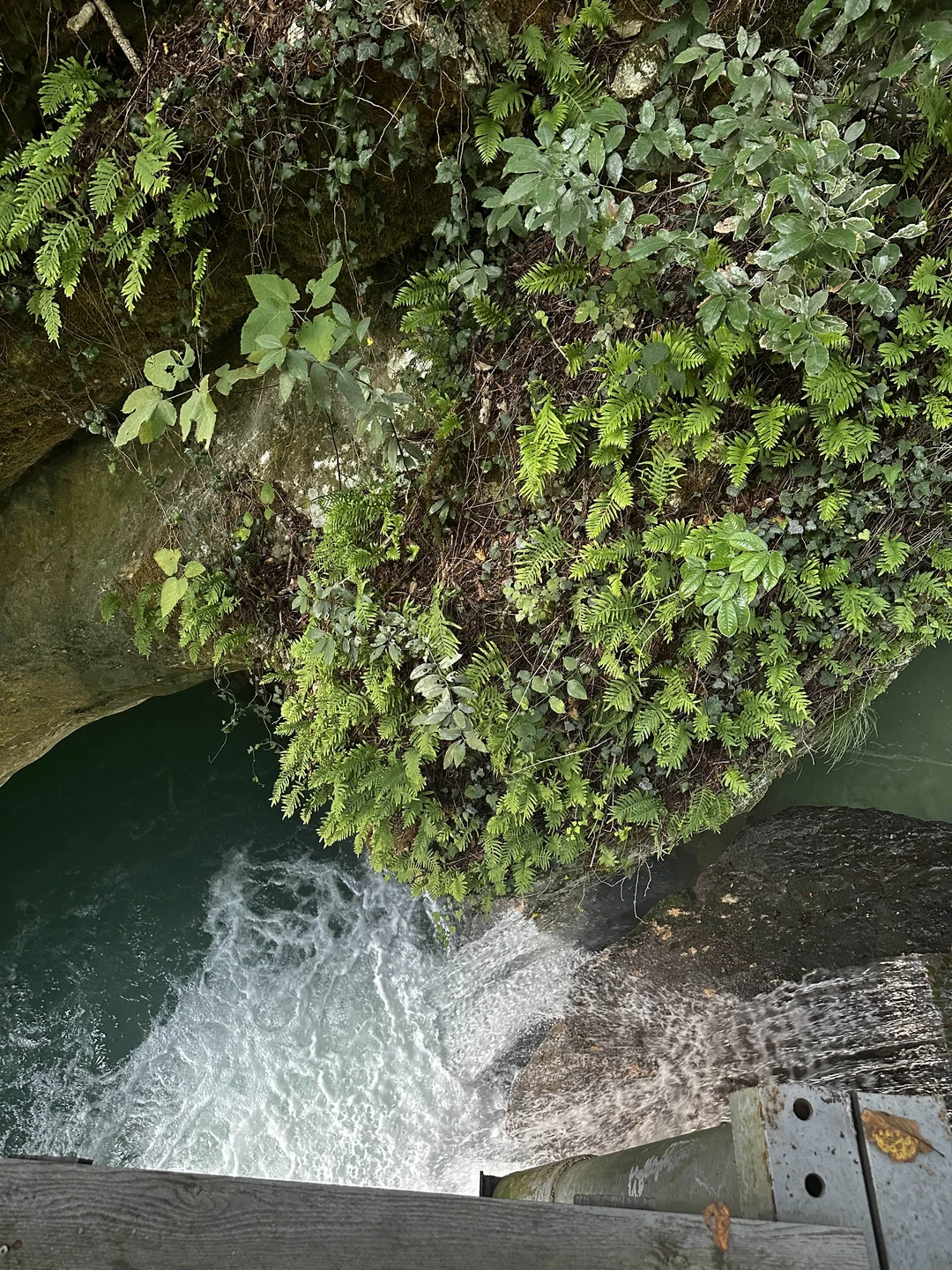 Очень рекомендую данные места к посещению и организатора, днем написала вечером уже приехали за нами на
