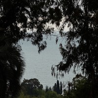 reviews img