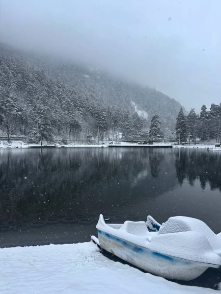 Экскурсия потрясающая! Мы поехали, когда в Кисловодске была, можно сказать, весна, а в Домбае была настоящая