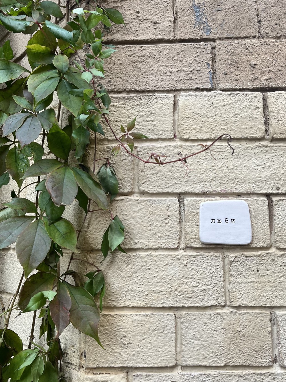 «В поисках сокровищ Эрмитажа»: городской квест (2/12)