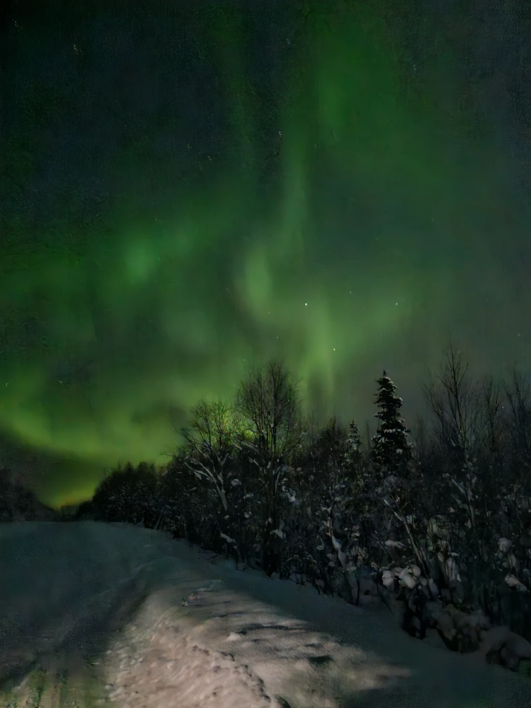 Нашим гидом был Виталий. мы в полном восторге от содержания рассказа и знания предмета! 100 из 10!